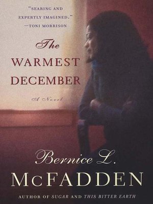 cover image of The Warmest December